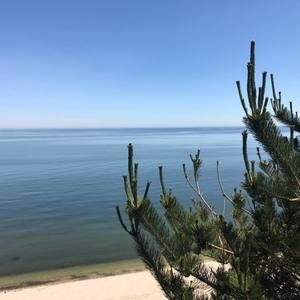 Meet your Posher, Adrian